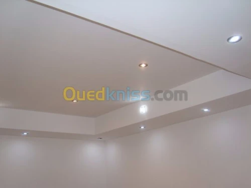 faux pafond ;et separation ba13 