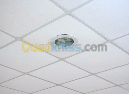 faux pafond ;et separation ba13 