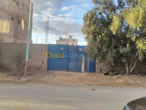 Vente Usine Tlemcen Remchi