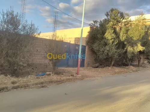 Vente Usine Tlemcen Remchi