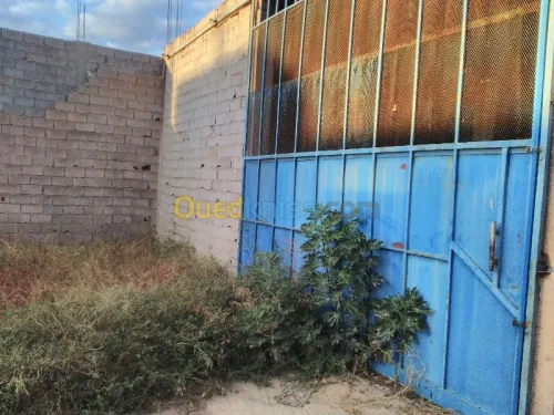 Vente Usine Tlemcen Remchi