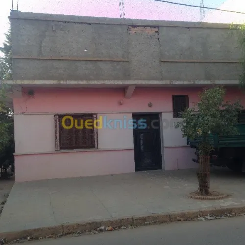 Vente Villa Tiaret Sougueur