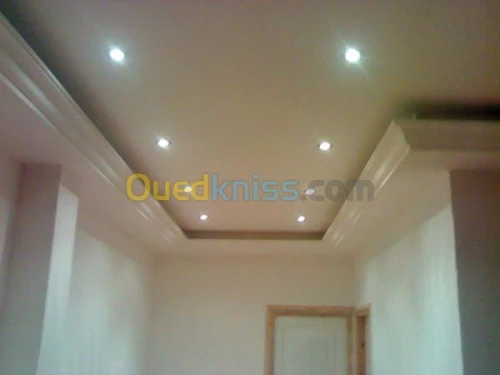 placoplatre decorations