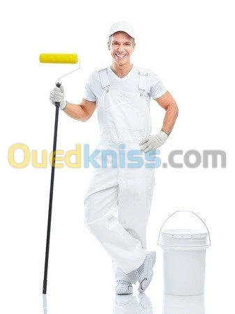 peinture professionnelle