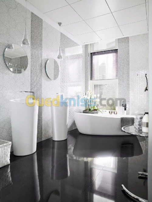 venis porcelanosa ALGERIE