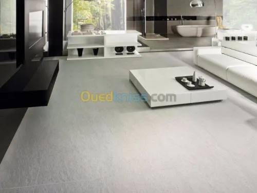 venis porcelanosa ALGERIE