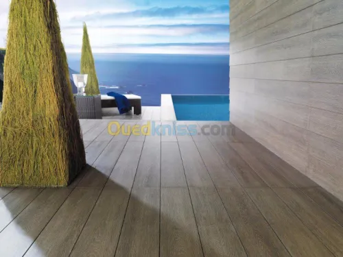 venis porcelanosa ALGERIE