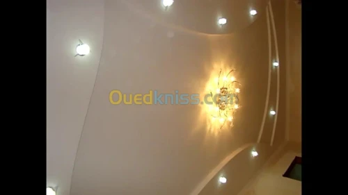 Placo(ba13)    +++platre 