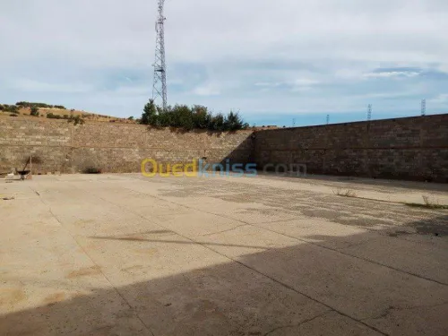 Vente Terrain Sidi bel abbes Mostefa ben brahim