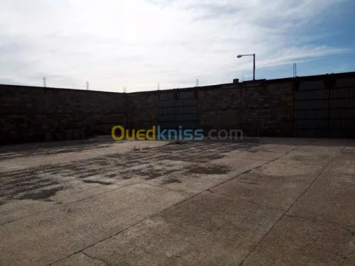 Vente Terrain Sidi bel abbes Mostefa ben brahim