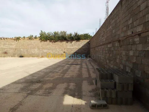 Vente Terrain Sidi bel abbes Mostefa ben brahim