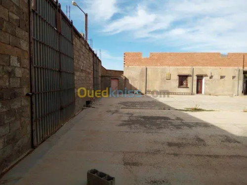 Vente Terrain Sidi bel abbes Mostefa ben brahim