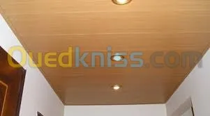  fou plafond pvc et placo platre