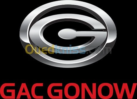 COUSSINET 0.00 STD GONOW ESSENCE