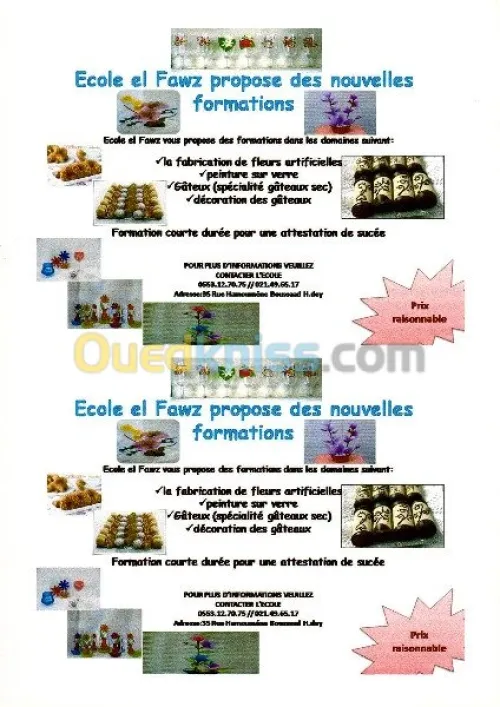 enseignement d informatique et langues
