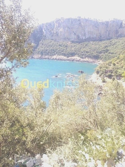 Cours  universitaires de CHIMIE