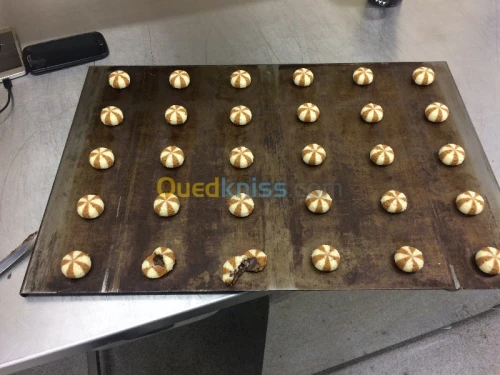 DRESSEUSE CO EXTRUDEUSE BISCUITERIE 