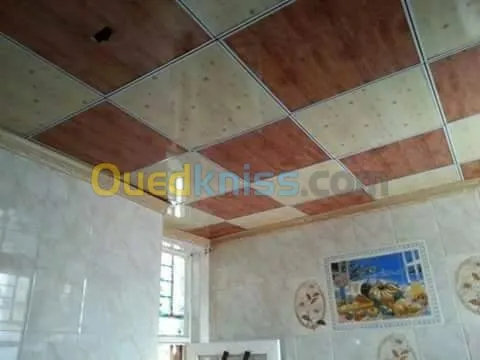 faux plafond ba 13