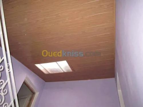 faux plafond ba 13