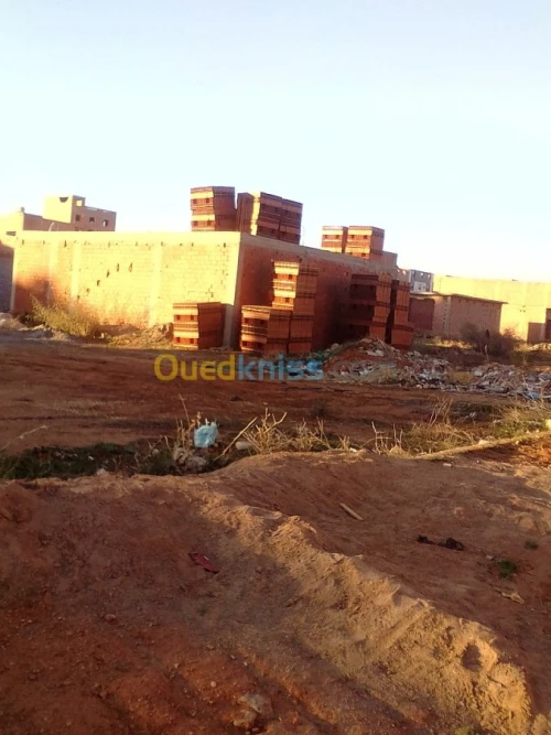 Vente Terrain Tlemcen Maghnia