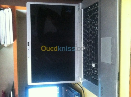 sony computer
