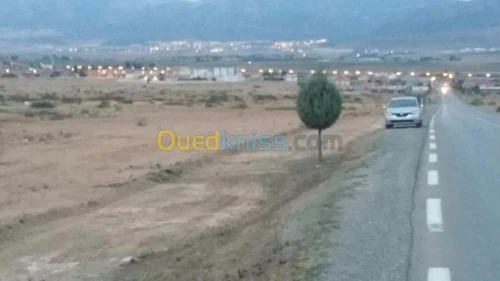 Vente Terrain Batna Batna