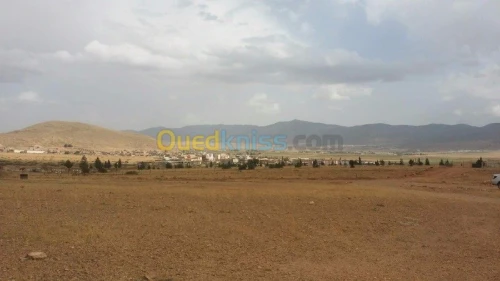 Vente Terrain Batna Batna