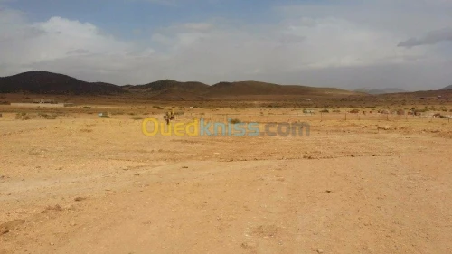 Vente Terrain Batna Batna