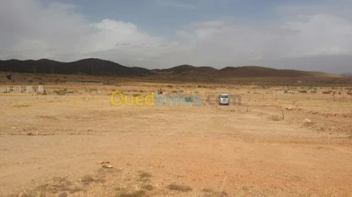 Vente Terrain Batna Batna