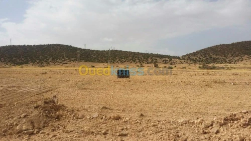 Vente Terrain Batna Batna