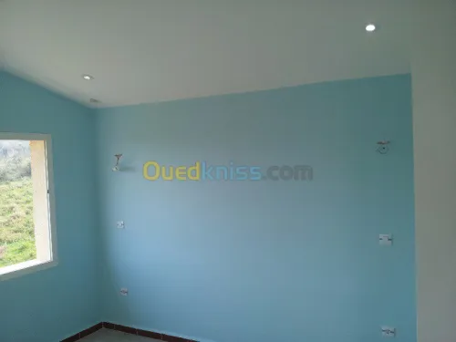 peinture Extérieur / Intérieur 