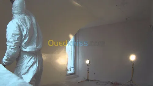 peinture Extérieur / Intérieur 
