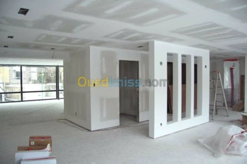 foux plafound ba13 bvc  mdf  parqut