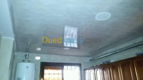 Fou Plafond démontable BA13