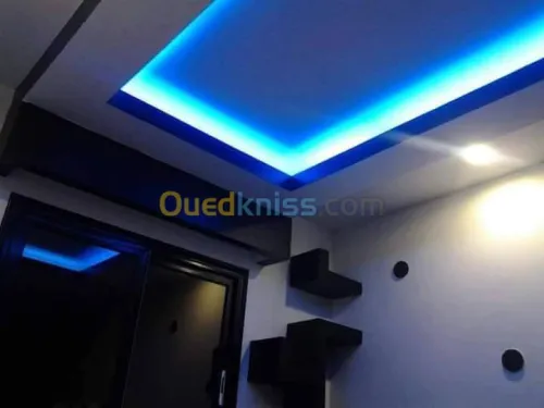 Fou Plafond démontable BA13