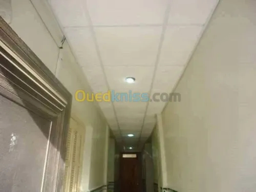 Fou Plafond démontable BA13