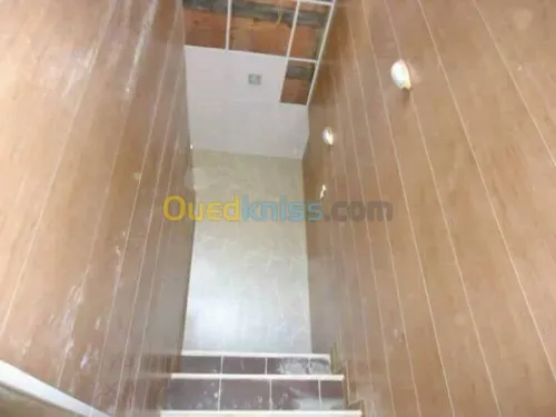 Fou Plafond démontable BA13