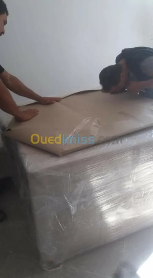 نقل و ترحيل الأثاث /DÉMÉNAGEMENT 1