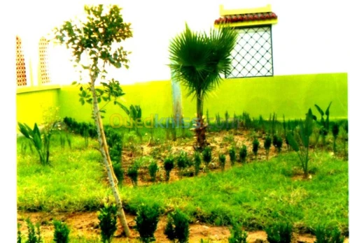   تهيئة المساحاتespace vert  