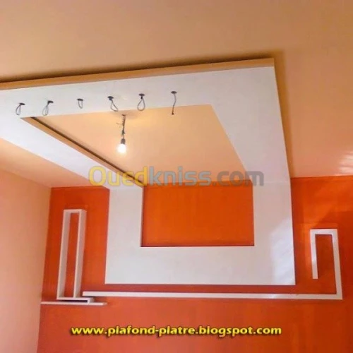 placoplatre