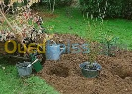jardinage