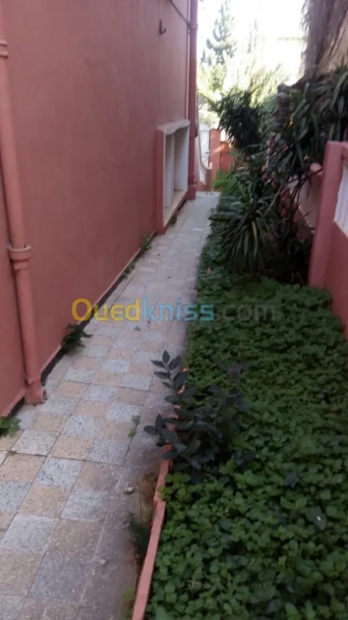 Vente Villa Alger Kouba