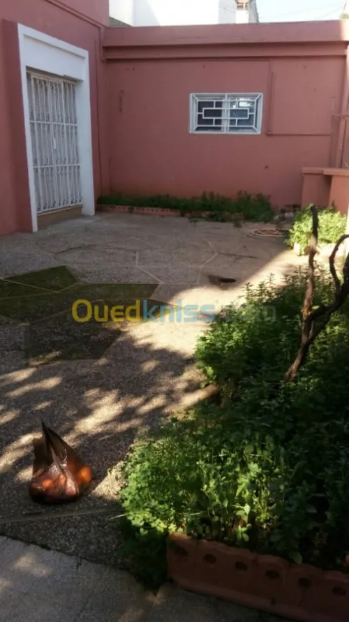 Vente Villa Alger Kouba