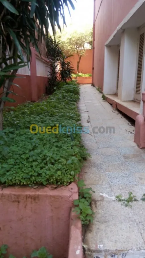 Vente Villa Alger Kouba
