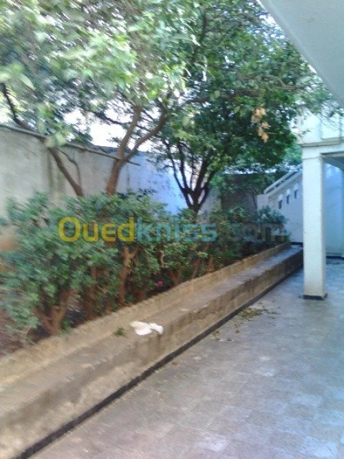 Vente Villa Alger Kouba