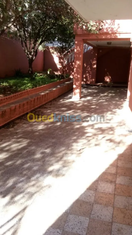 Vente Villa Alger Kouba