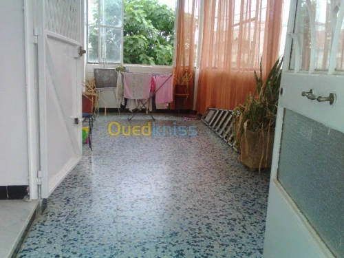 Vente Villa Alger Kouba