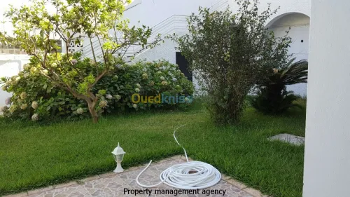 Location Villa Alger Hydra
