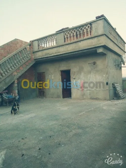 Echange Villa Oran Sidi maarouf
