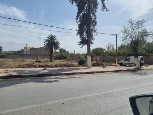 Vente Terrain Chlef Oued fodda